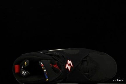 Air 8 Jordan 305381-062 “Playoff" 1101